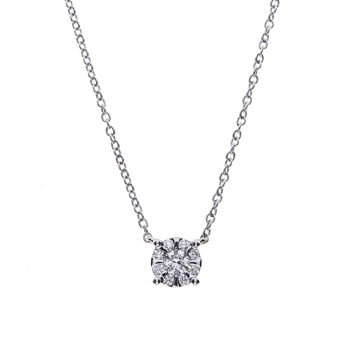 COLLIERINO DAPHNE Tradition
